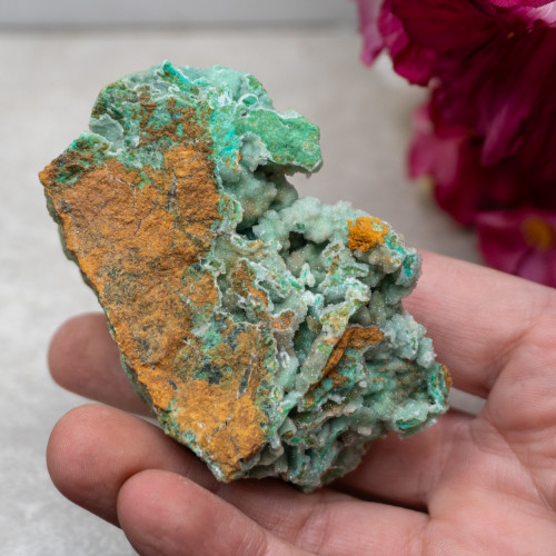 Quartz Covered Chrysoprase #22
