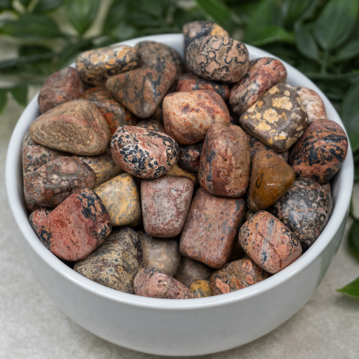 thumbnail image 2 of 50g Natural Tumbled Leopard Skin Jasper Gemstones - 10-25 Small Stones For Crystals, Jewelry Making & Healing 2 of 5