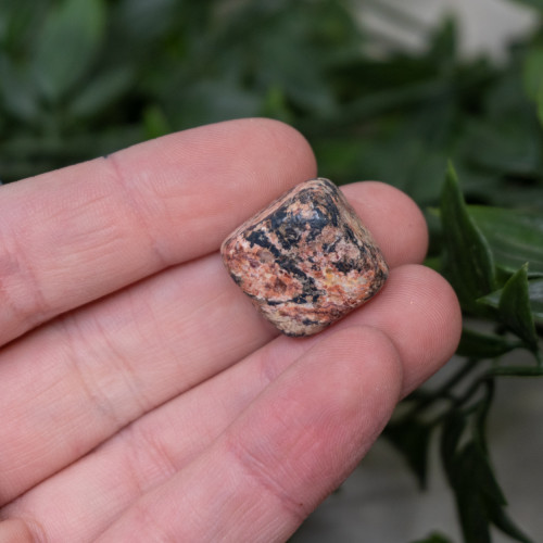 Leopard Skin Jasper Tumbled