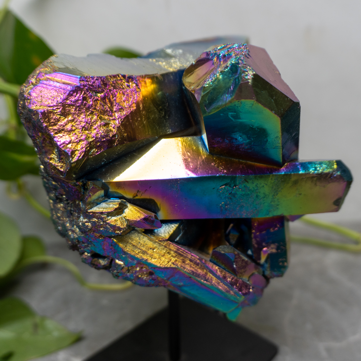 Raw Titanium Quartz on Stand 5 The Crystal Council
