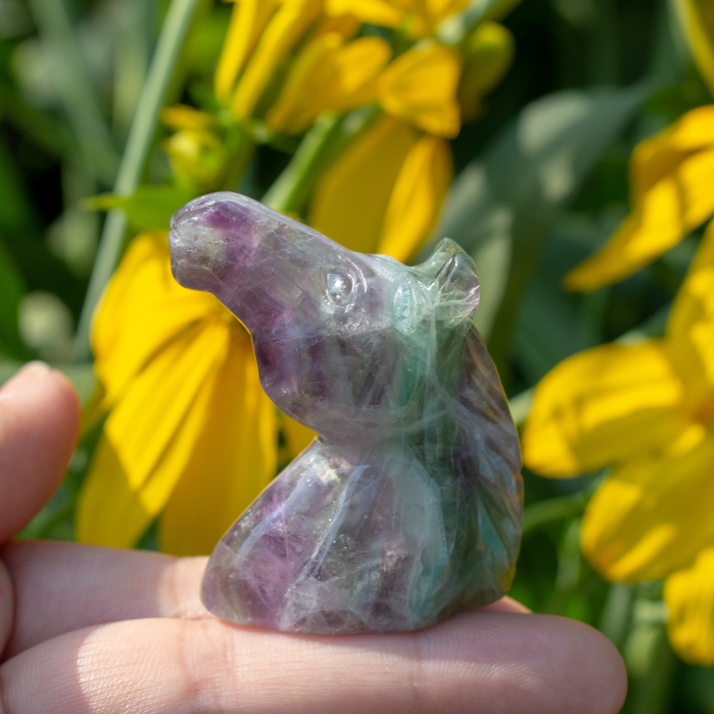 Small Fluorite Horse Head
