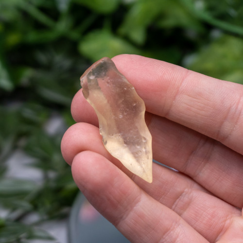 Libyan Desert Glass #10