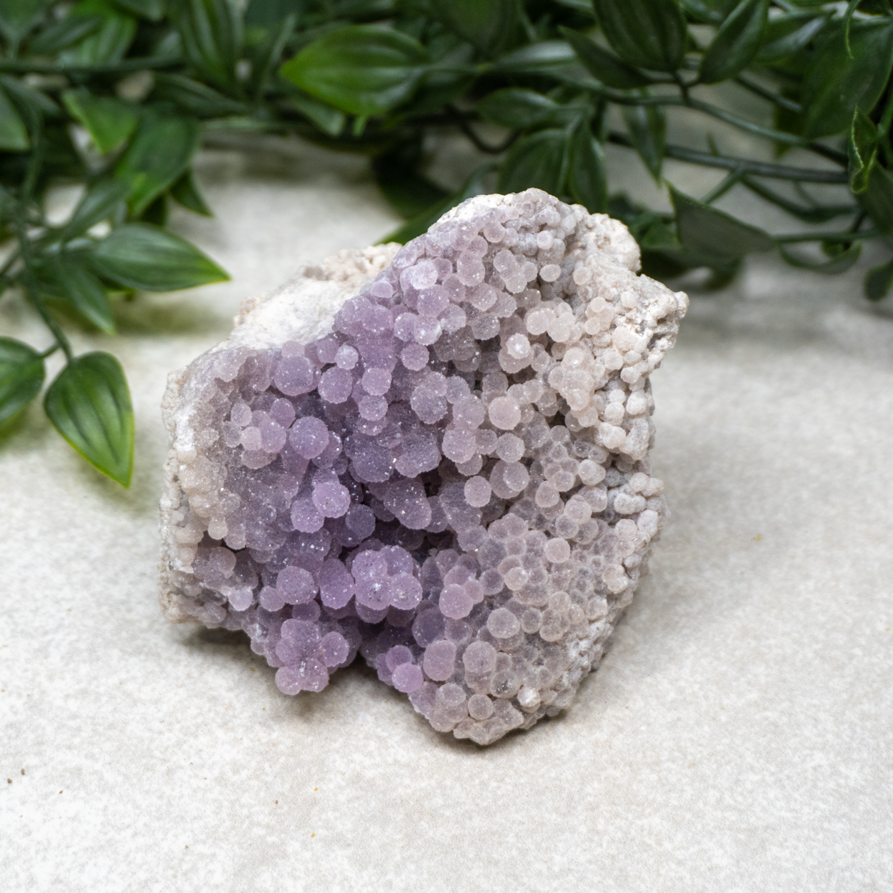 Grape Agate 21 The Crystal Council