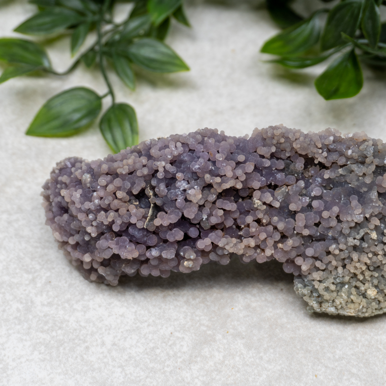 Grape Agate 18 The Crystal Council