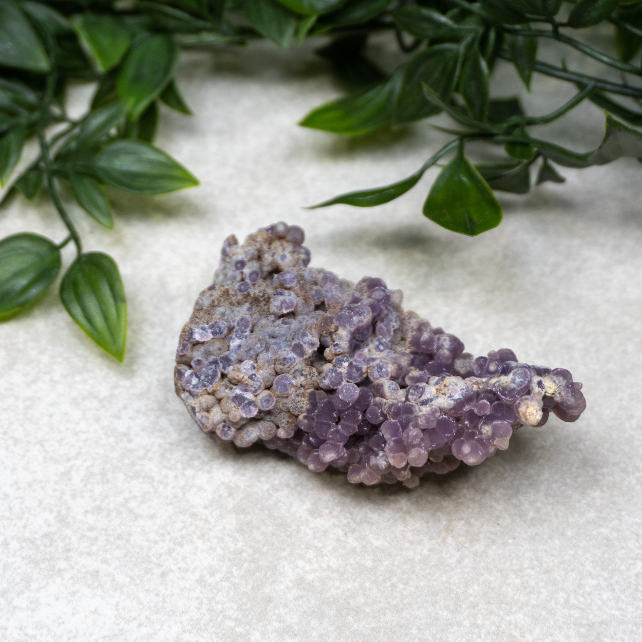 Grape Agate 14 The Crystal Council