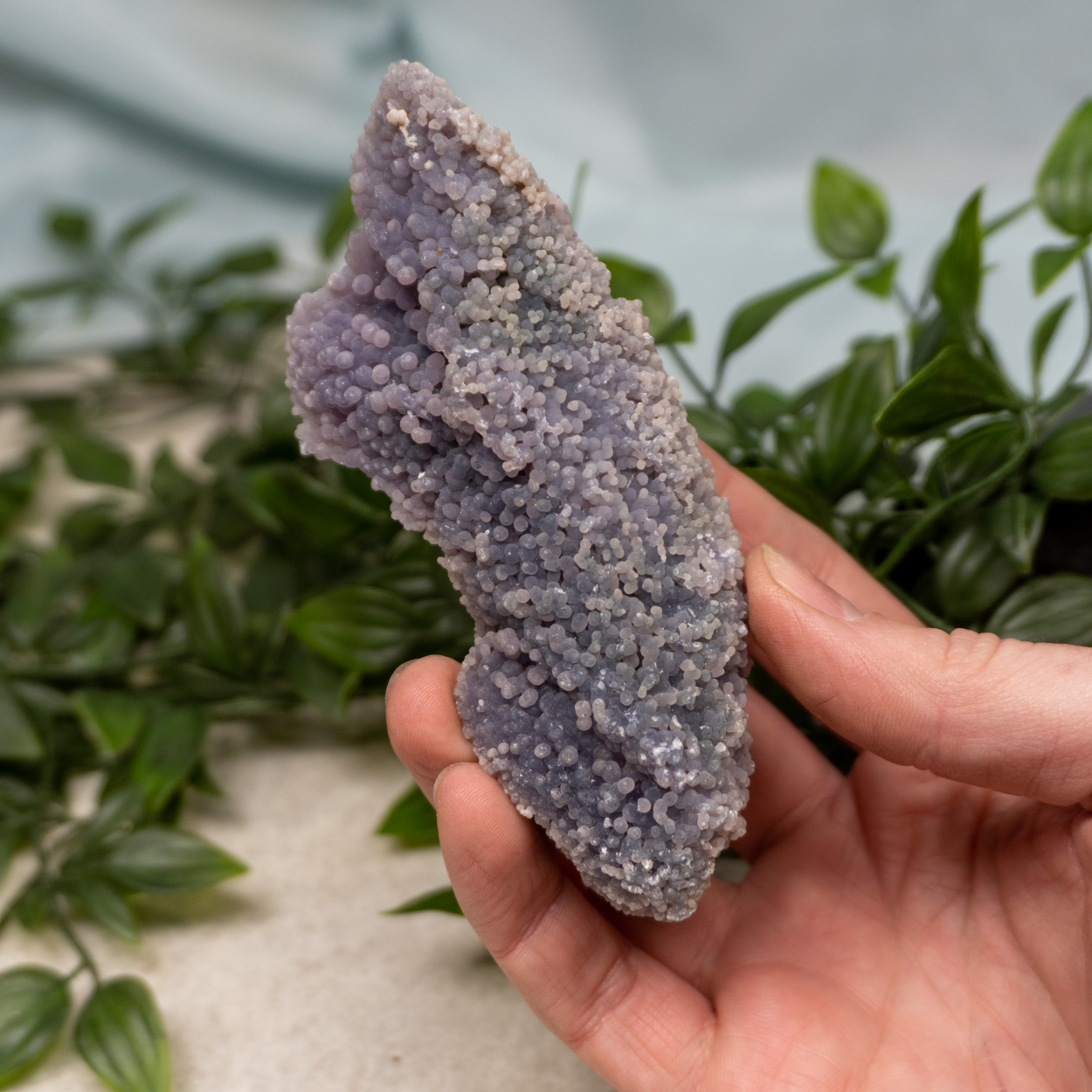 Grape Agate 13 The Crystal Council