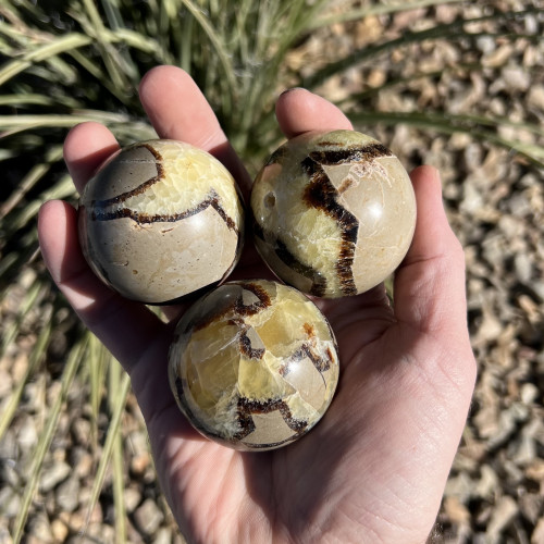 Septarian Sphere Random