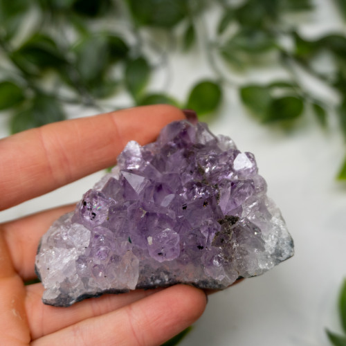 Amethyst Raw Cluster #4