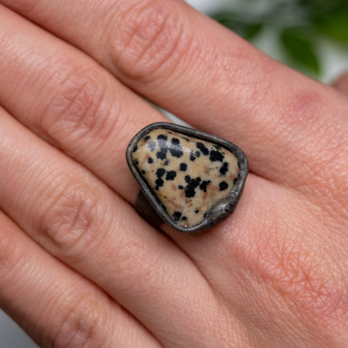 Dalmation Jasper Stone Ring #1
