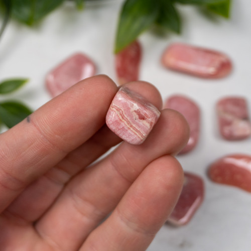 Rhodochrosite A Quality Tumbled