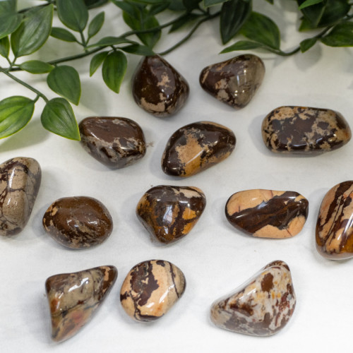 Nguni Jasper Tumbled