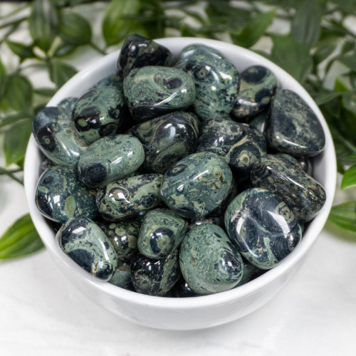 Kambaba Jasper Tumbled