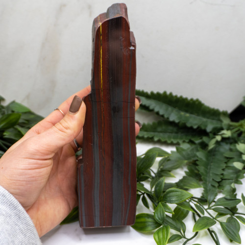 Tiger Iron Half Polished Slab #3