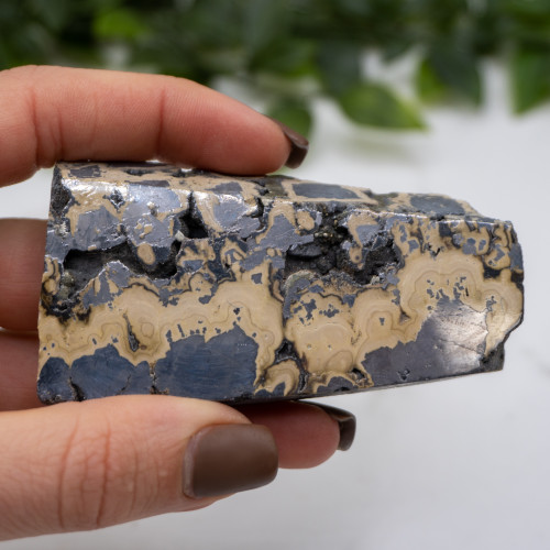 Schalenblende Half Polished Slab #7