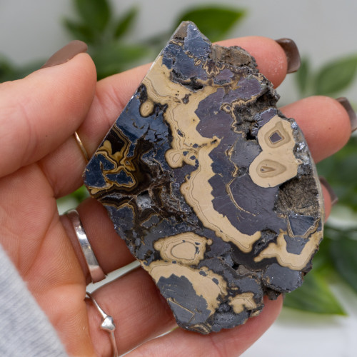 Schalenblende Half Polished Slab #3