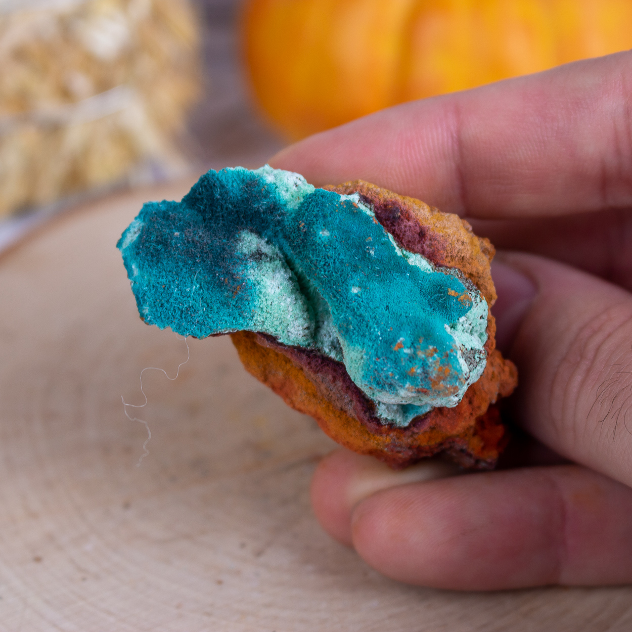 Rosasite on Limonite #8