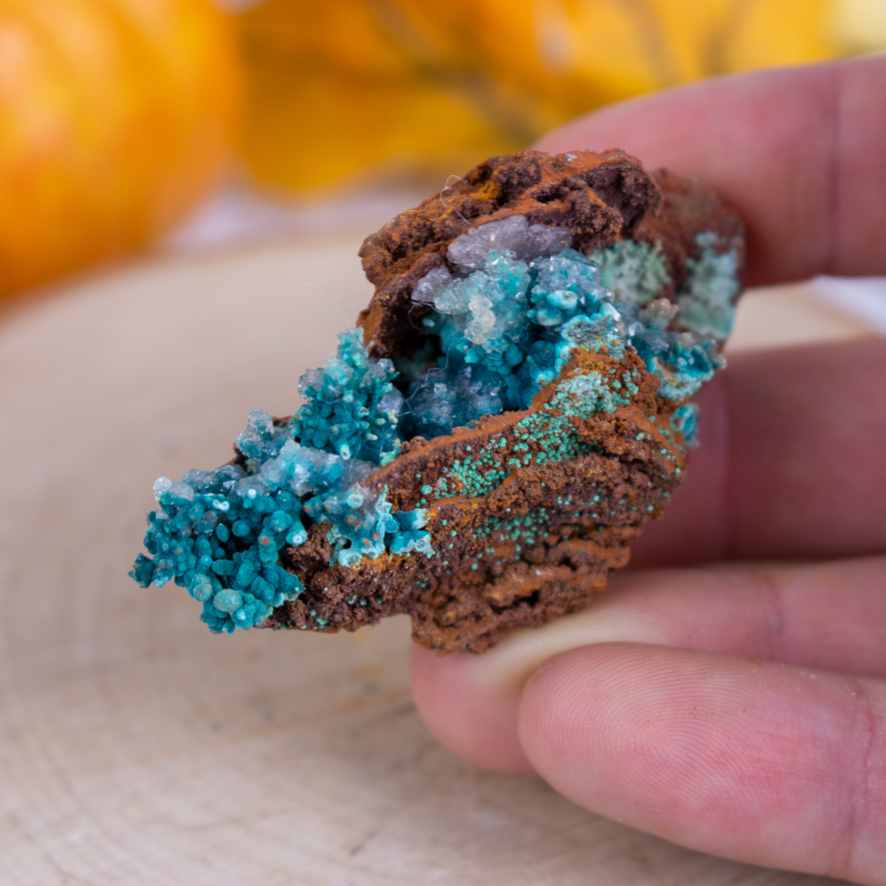Rosasite on Limonite #5