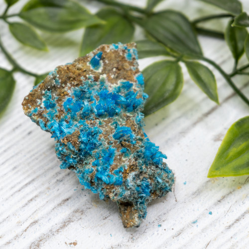Chalcanthite #4