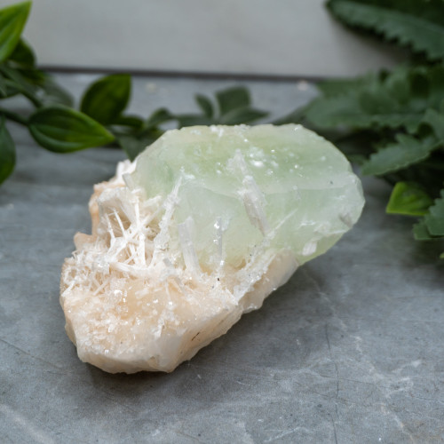 Green Apophyllite with Scolecite on Stilbite #4