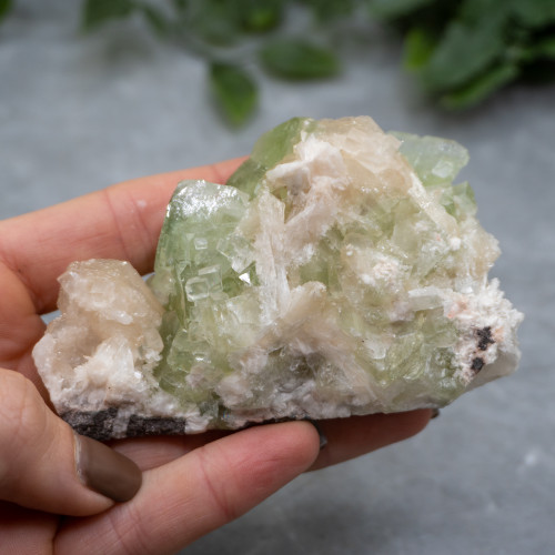 Green Apophyllite with Scolecite on Stilbite #3