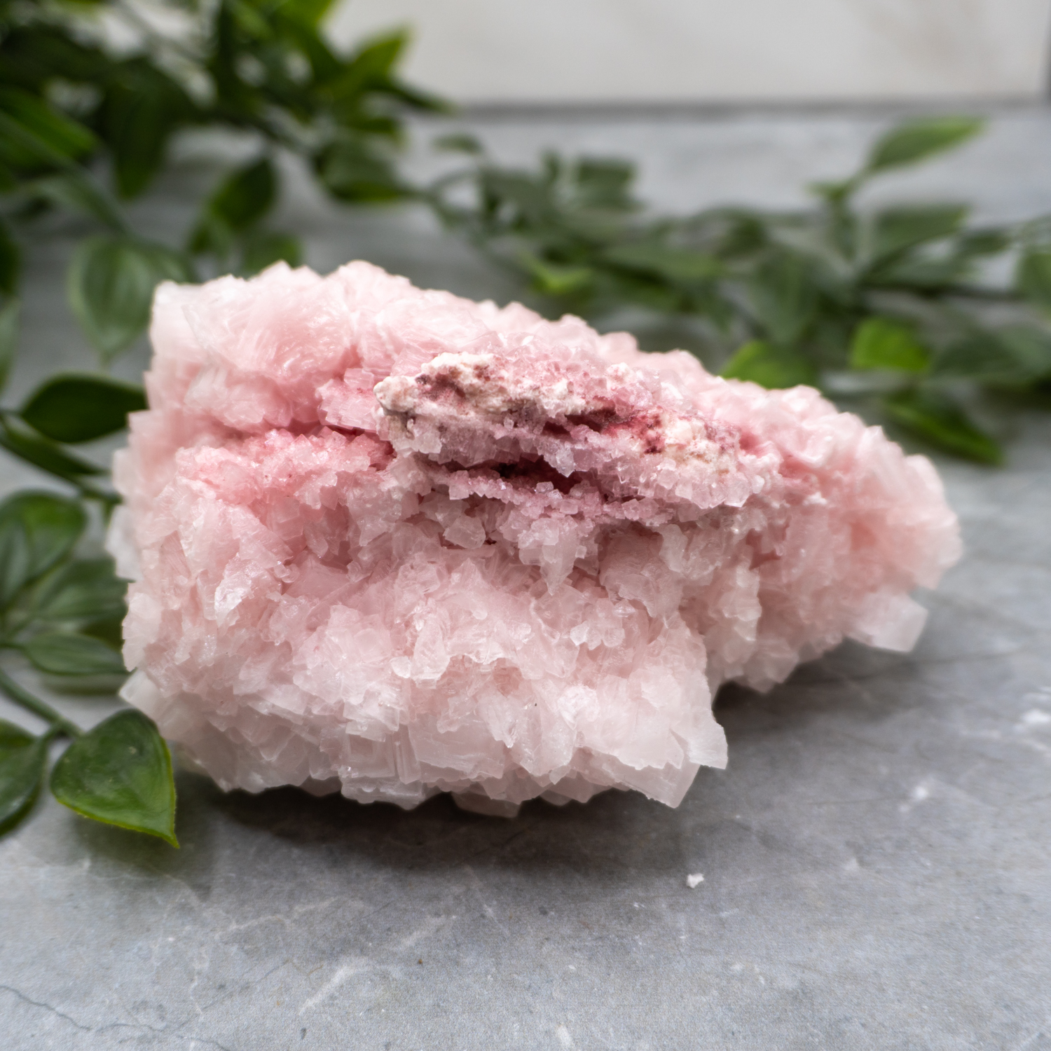 Pink Halite Large #1 - The Crystal Council