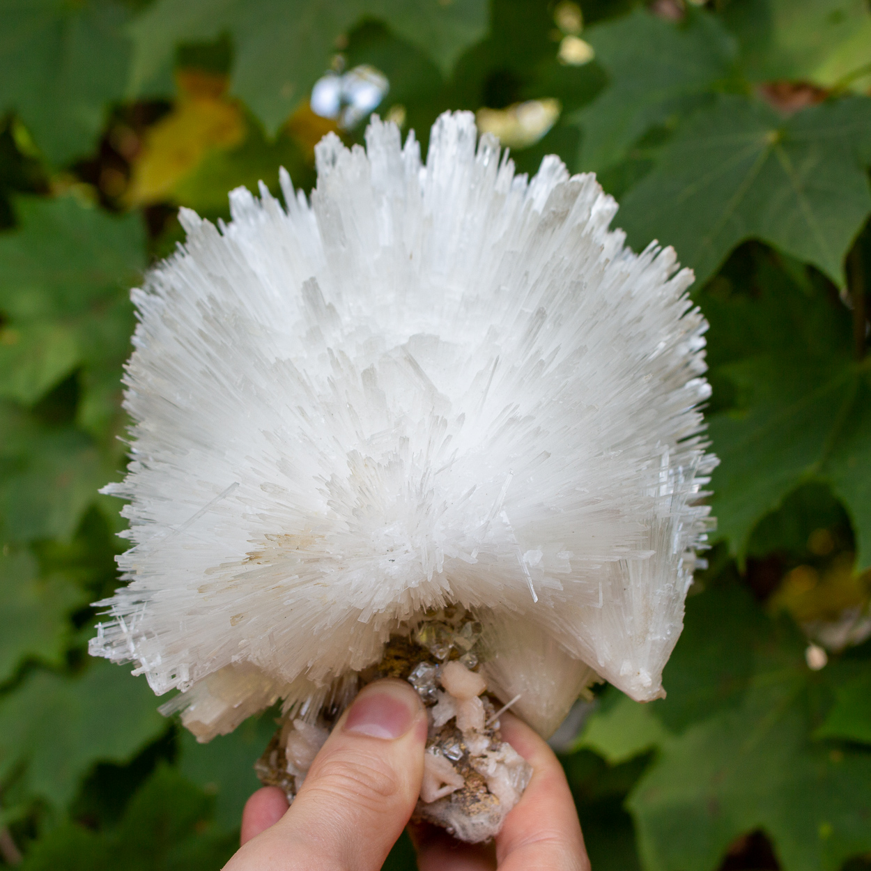 Scolecite Crystalized Cluster