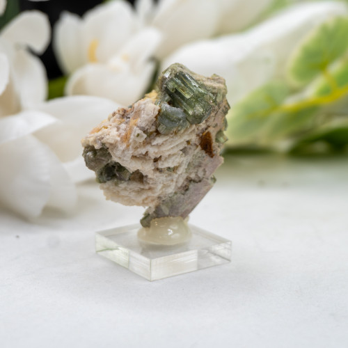 Watermelon Tourmaline #4