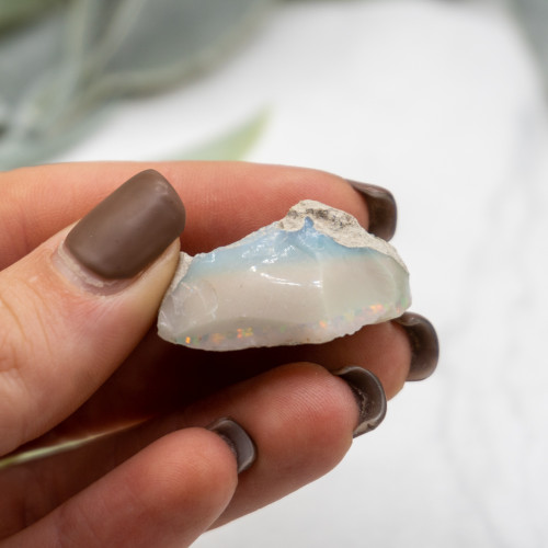 Ethiopian Opal #7