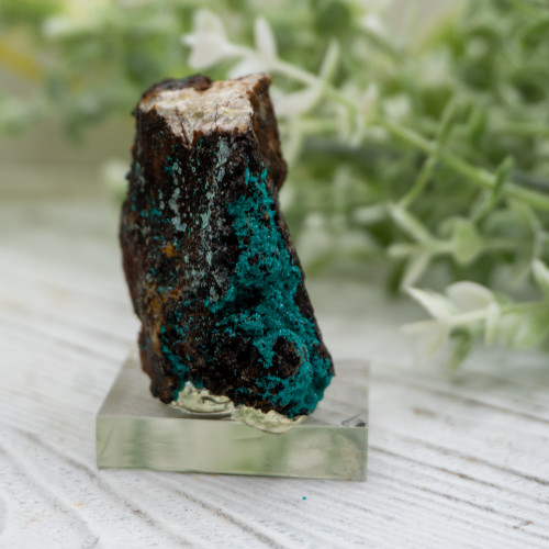 Brochantite #2