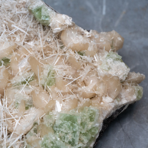 XL Green Apophyllite with Scolecite on Stilbite