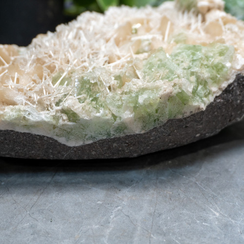 XL Green Apophyllite with Scolecite on Stilbite