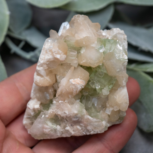 Green Apophyllite with Scolecite on Stilbite #5