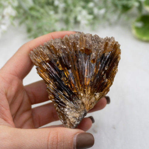 Amber Calcite #5
