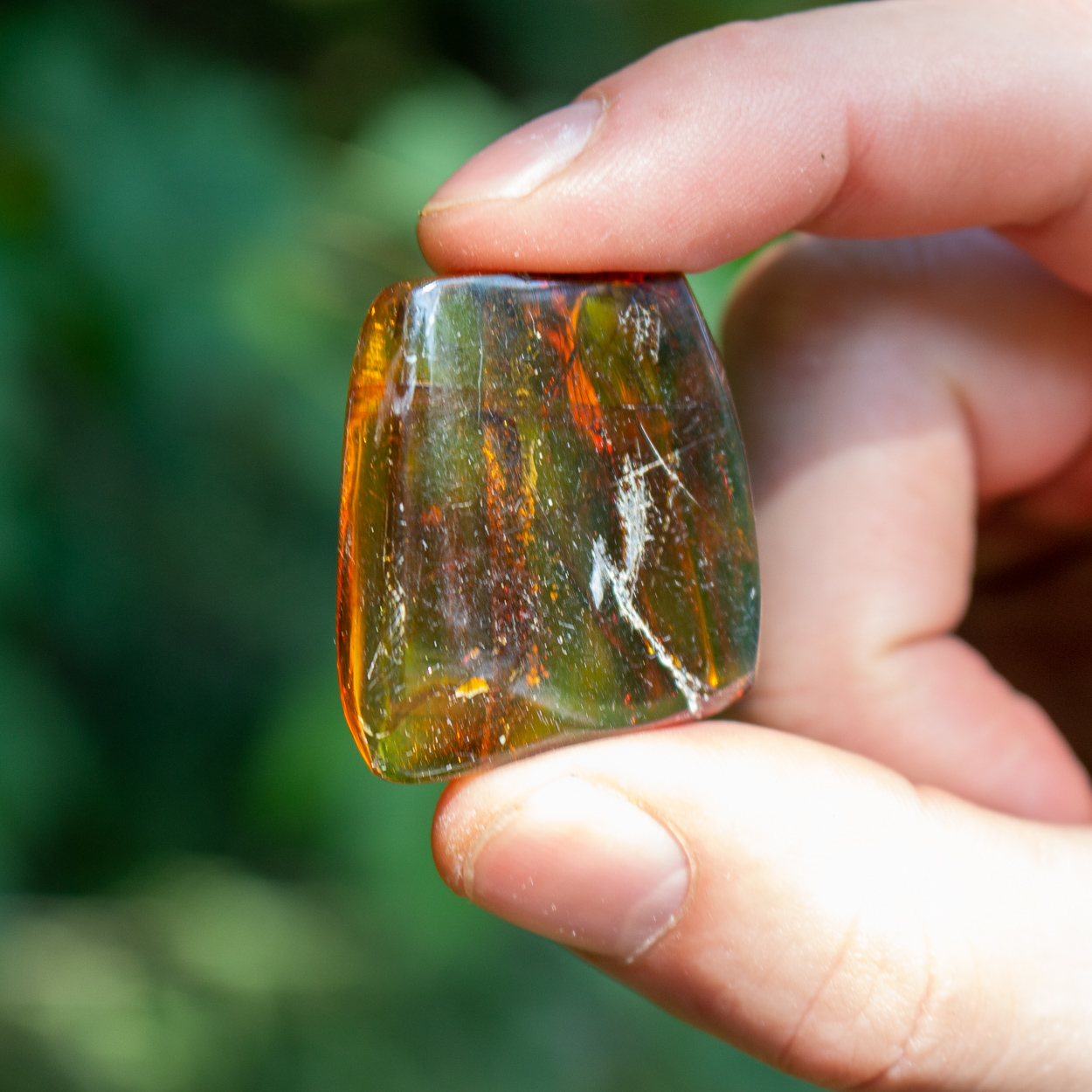 Raw Amber 13 The Crystal Council