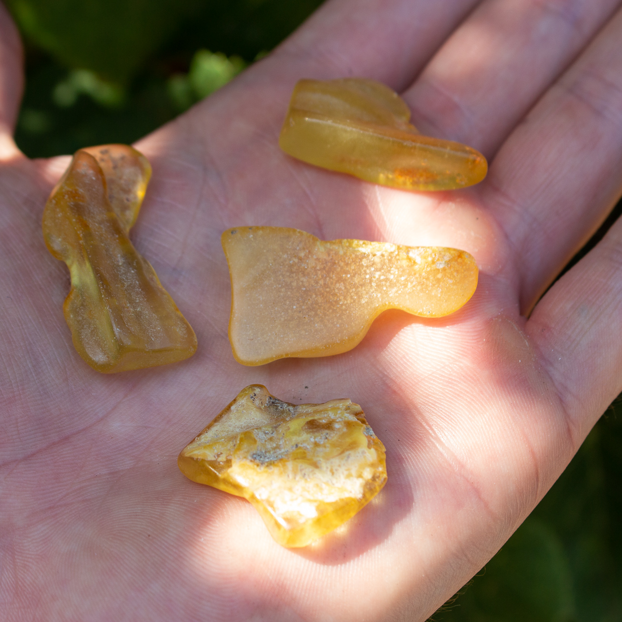 Raw Copal The Crystal Council