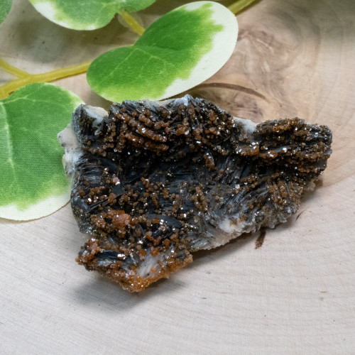 Vanadinite on Black Barite #1