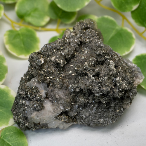 Marcasite with Pyrite on Quartz #10