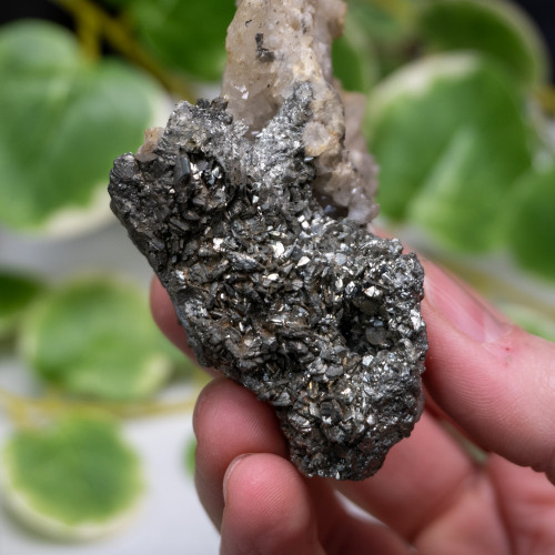 Marcasite with Pyrite on Quartz #4