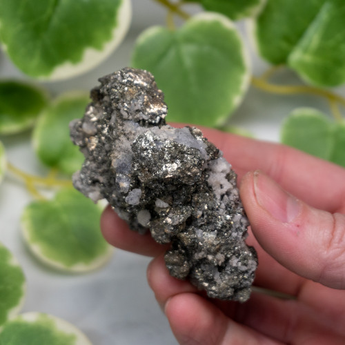 Marcasite with Pyrite on Quartz #2