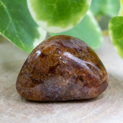 Hilutite #4