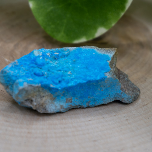 Cyanotrichtite #1