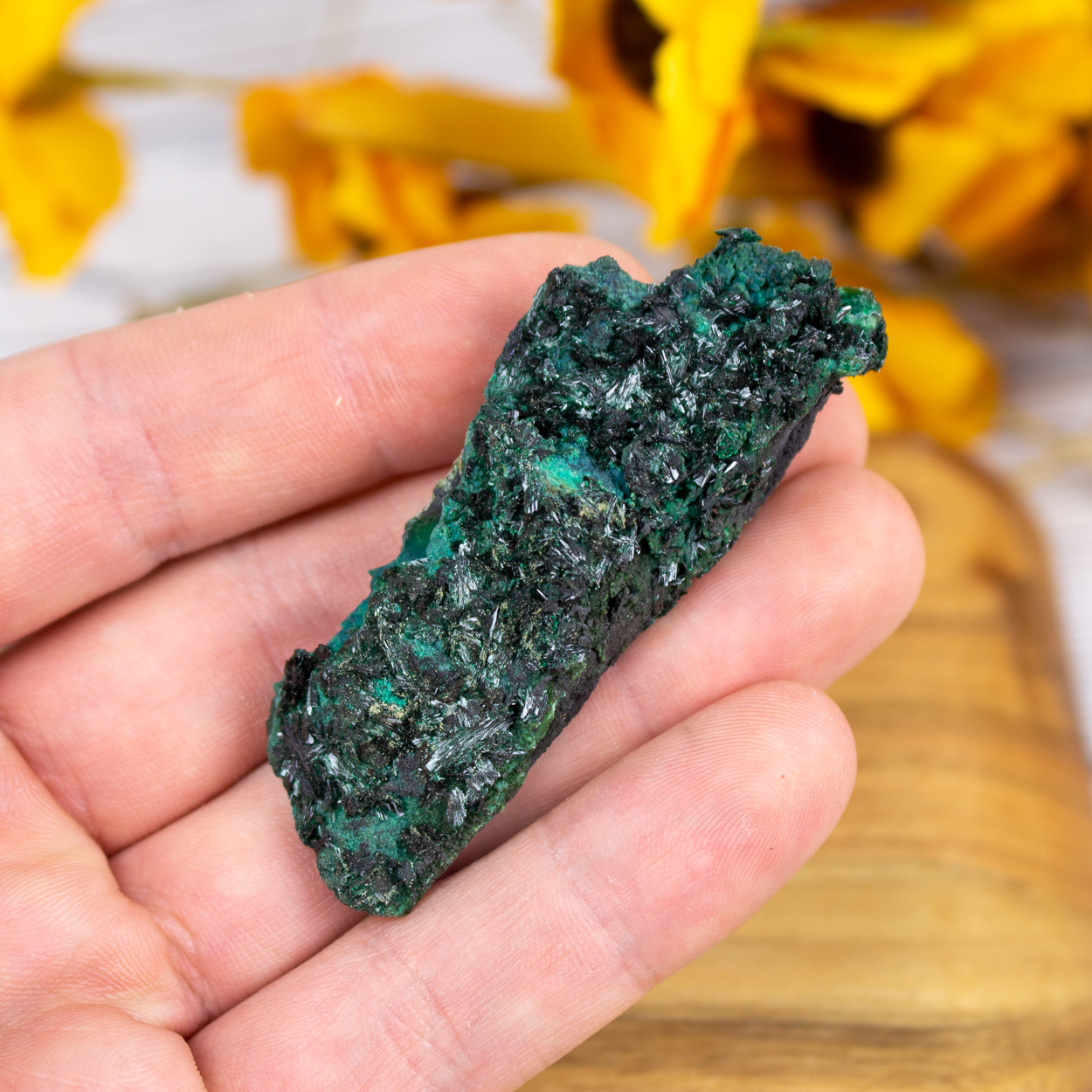 Crystallized Malachite #1