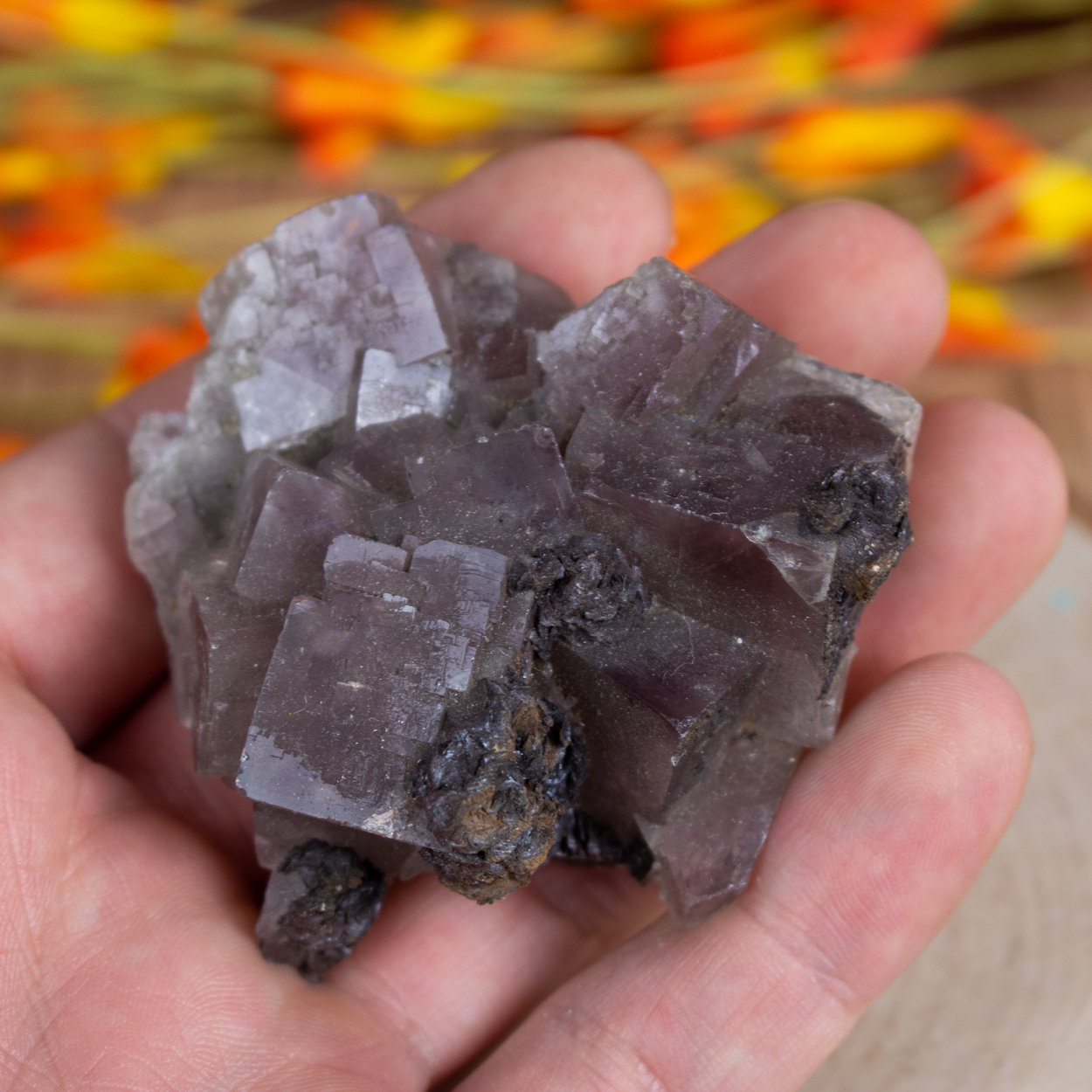 Purple Fluorite