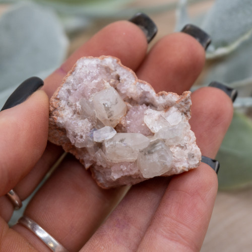 Pink Amethyst #6