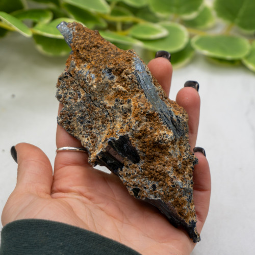 Vivianite XL Raw #12