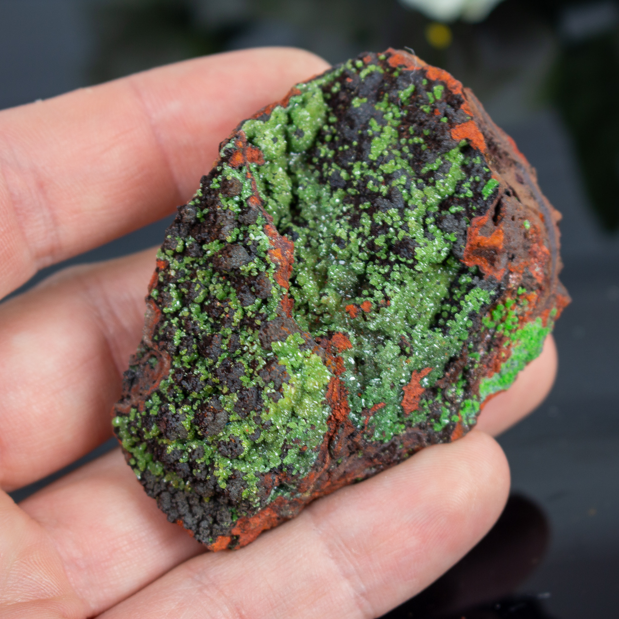 Pyromorphite on Limonite