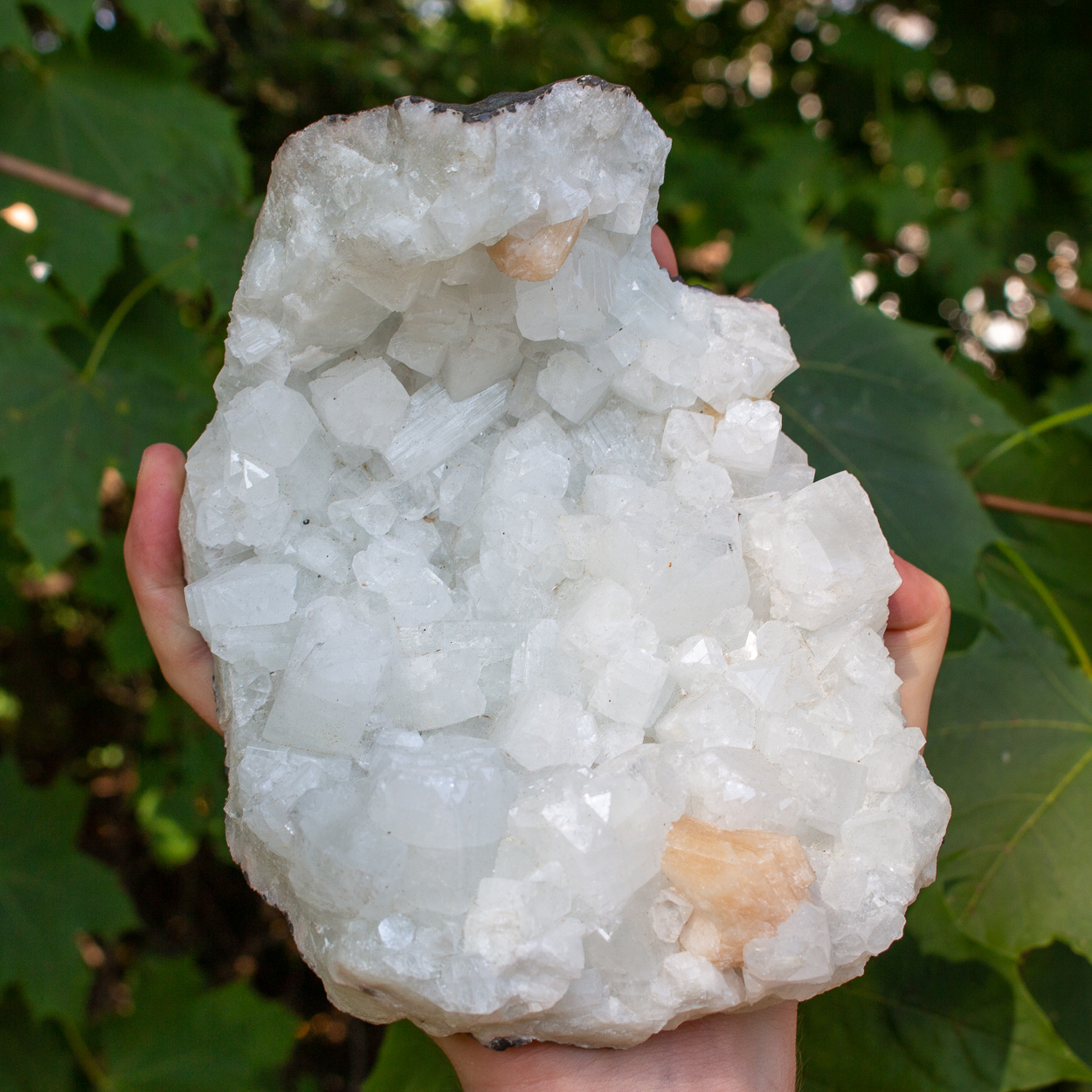 Large Apophylite Cluster