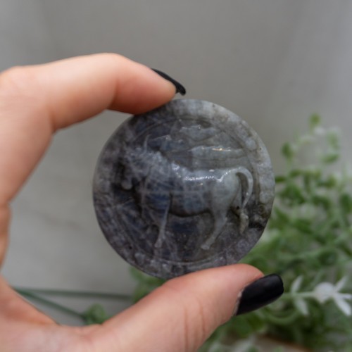 Taurus Labradorite Zodiac Coin #2