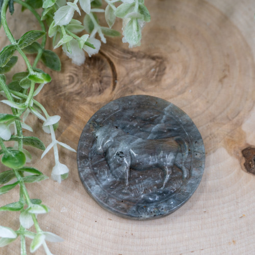Taurus Labradorite Zodiac Coin #1
