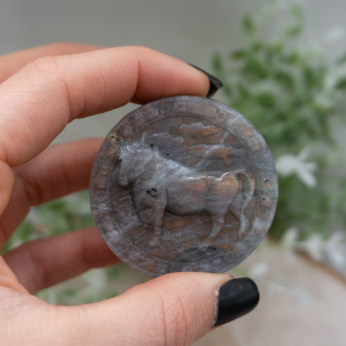 Taurus Labradorite Zodiac Coin #1